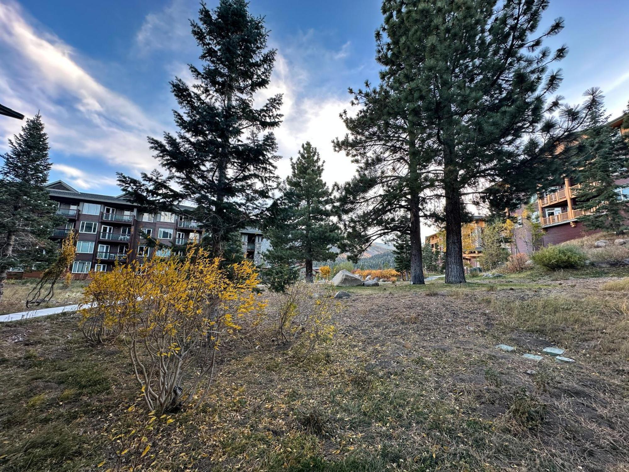 Juniper Springs Lodge #246 Condo Mammoth Lakes Exteriör bild